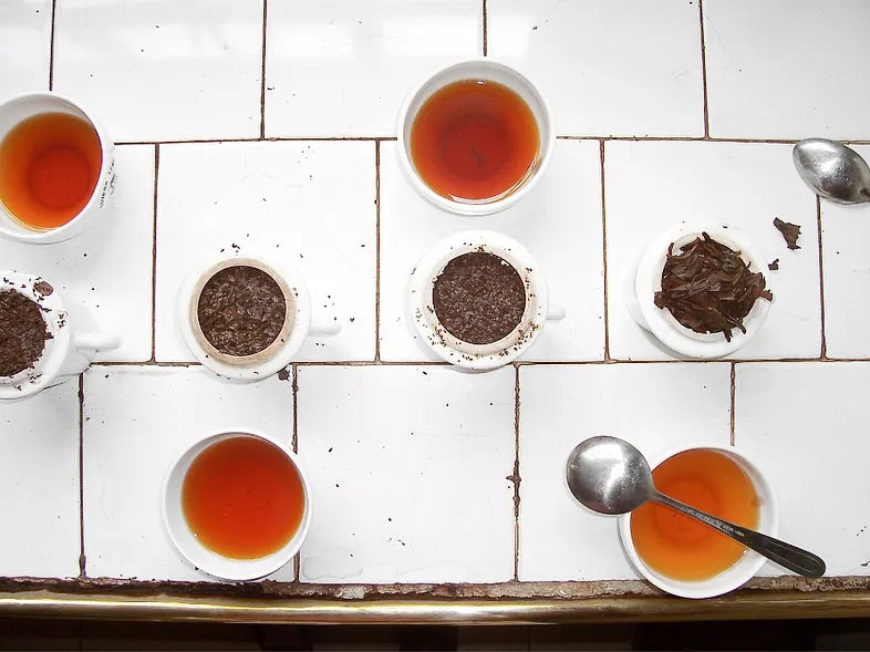 Tea Tasting