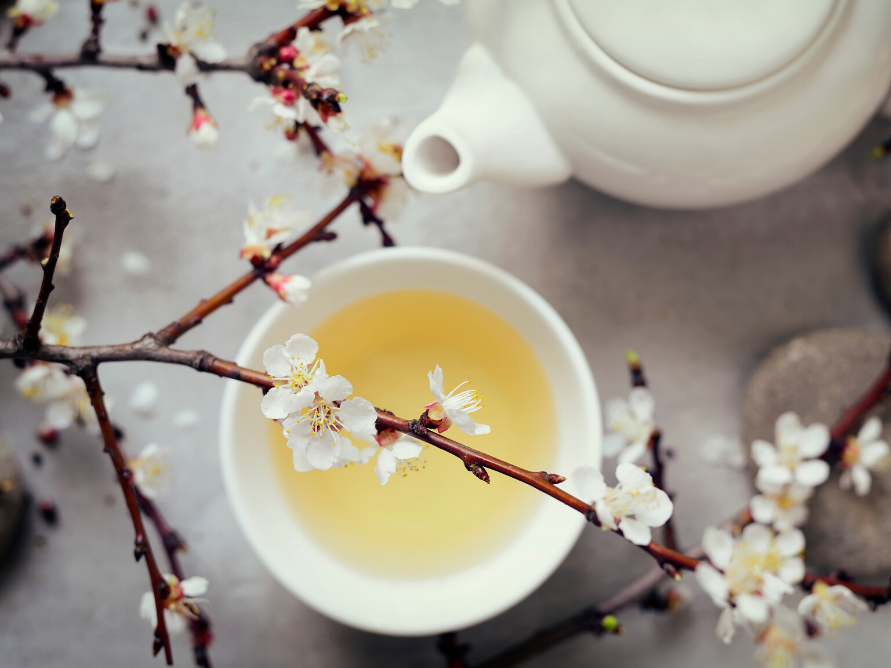 Benefits of White Tea