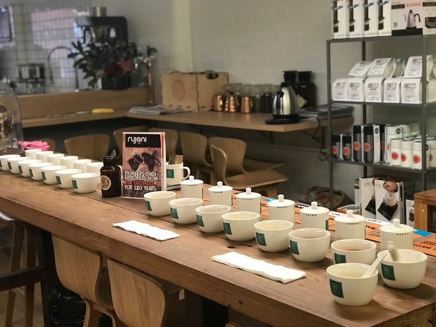Rujani Tea Cupping Session Hosted by Cartel Coffee Roasters, Melbourne
