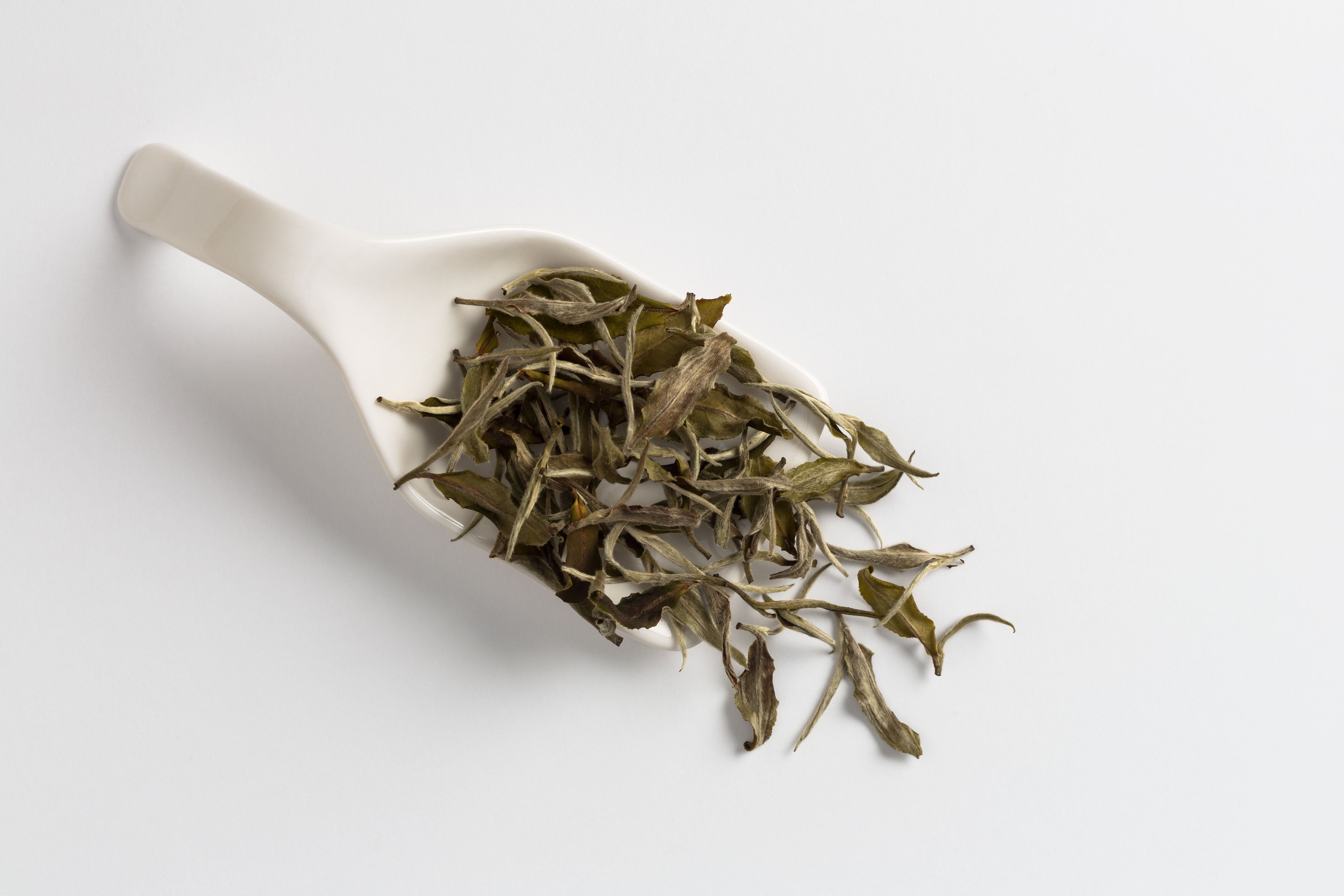 Bai Mu Dan Bliss